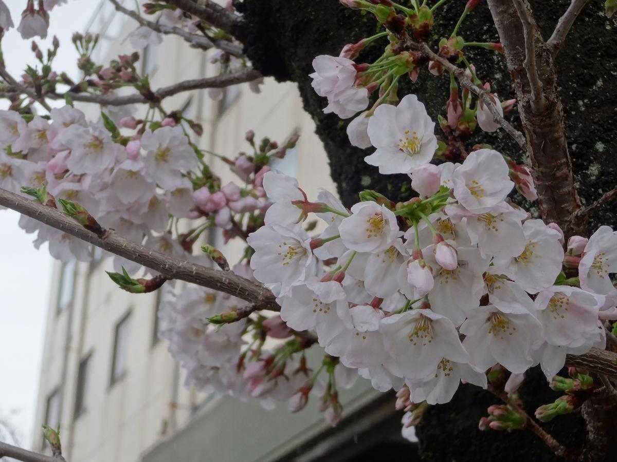 Hamakita Plaza Hotel Hamamatsu Bagian luar foto