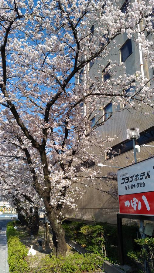 Hamakita Plaza Hotel Hamamatsu Bagian luar foto
